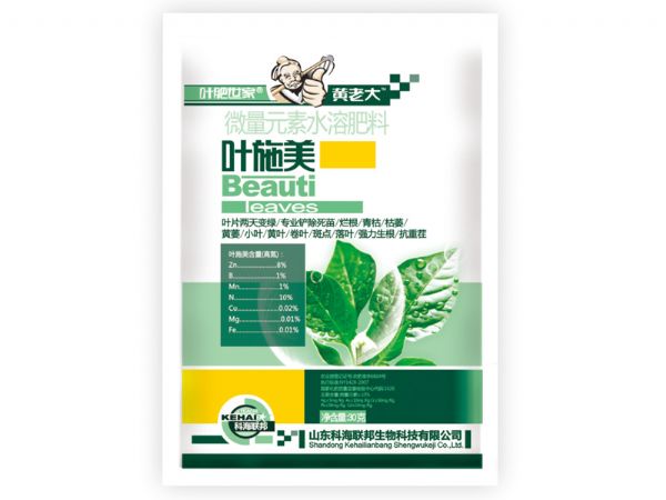 葉施美.jpg