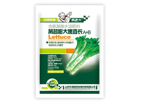 萵苣膨大嫩直長A+B.jpg